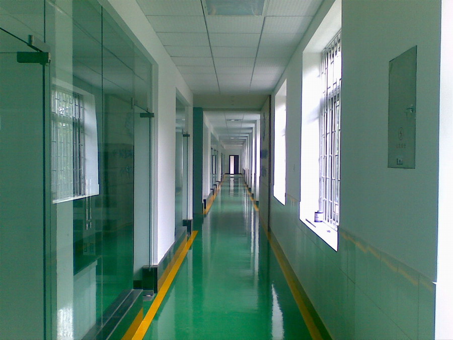 办公室走廊